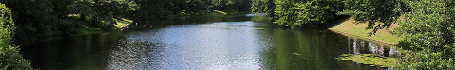 Titel Text Alternativ Text